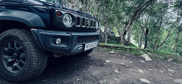Jimny in Himalayan Birch Trees Forest
