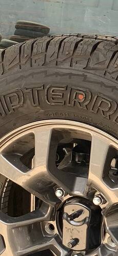 msg-1867793732-31526