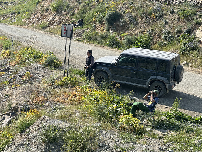 Spotting Brown Bears At Mushkoh Valley