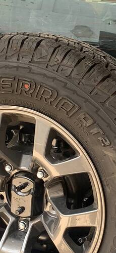 msg-1867793732-31525